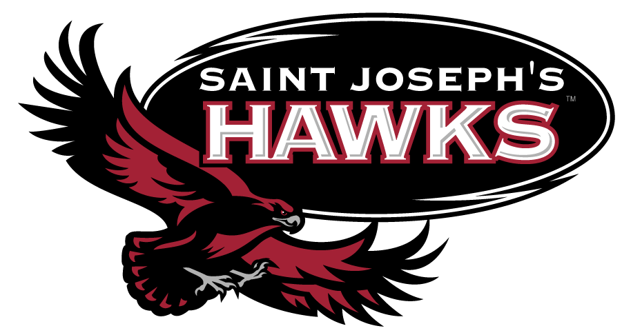 St. Joseph's Hawks 2002-2018 Alternate Logo DIY iron on transfer (heat transfer)